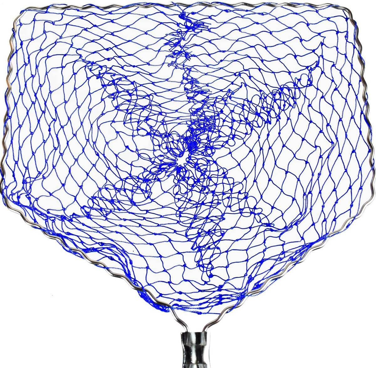 Butterfly Ball Amigo Head Replacement