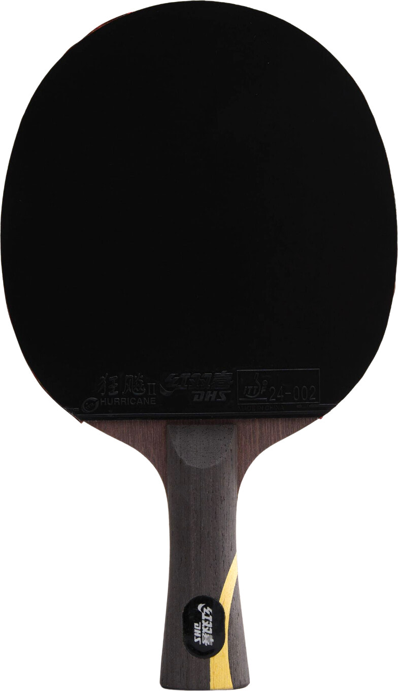 DHS Wang Liqin Classic Series