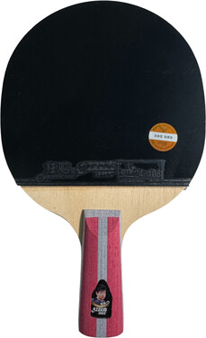 DHS 4 Star Racket - Chinese Penhold