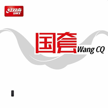 DHS Wang Chuqin Player Edition Hurricane 3