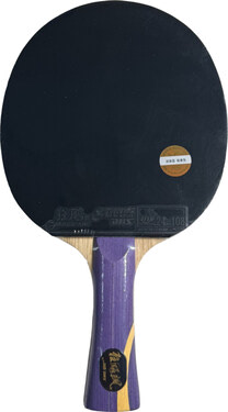 DHS Sun Yingsha Classic Series