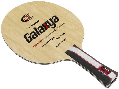 Yasaka Galaxya